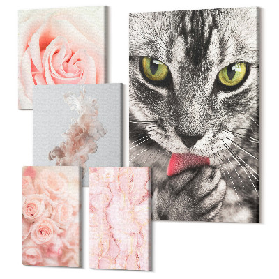 Sada 5 obrazov Mačky a ruže v jemných odtieňoch ružovej