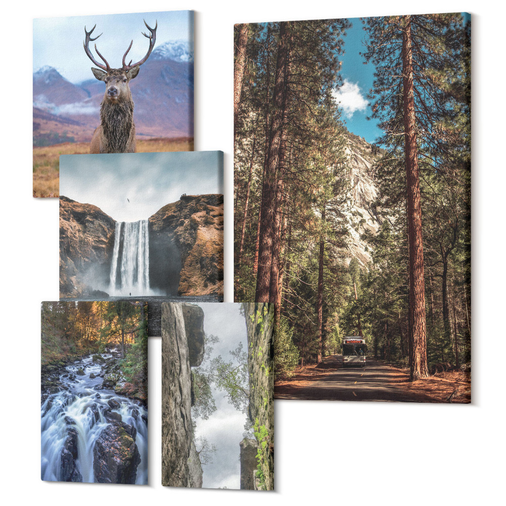 Sada obrazov na stenu pentaptych Prírodná krajina s vodopádmi a divokou zverou