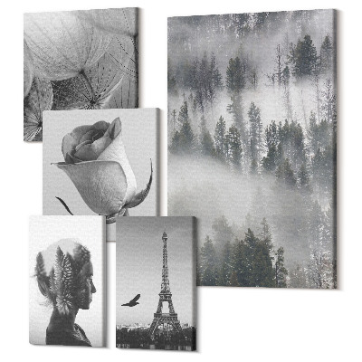 Sada 5 obrazov Čiernobiele inšpirácie prírodou a európskym mestom