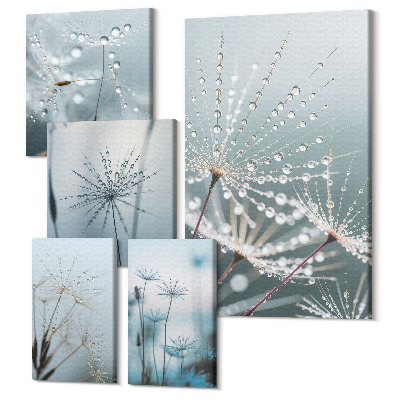 Sada 5 obrazov Kvapky vody na rastlinách v minimalistickom štýle