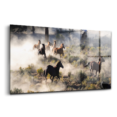 Sklenený obraz Stádo uháňajúcich koní