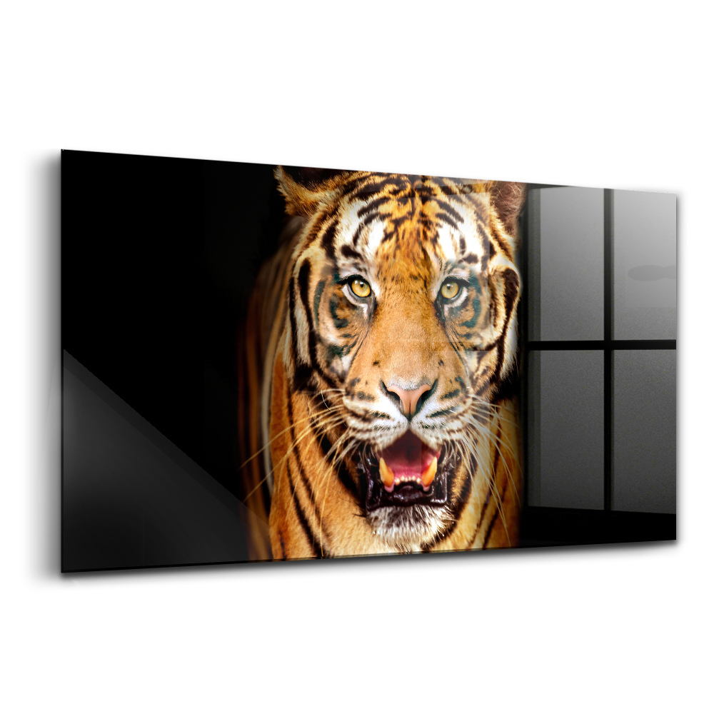 Obraz na skle Výrazné divoké oko tigra