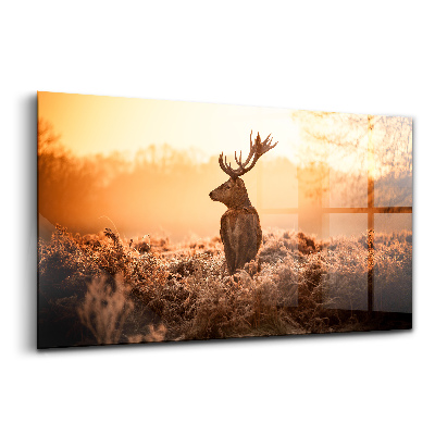 Sklenený obraz Jeleň pri východe slnka