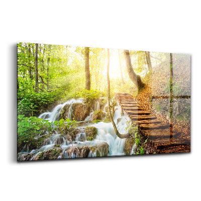 Obraz na skle Lesný potok