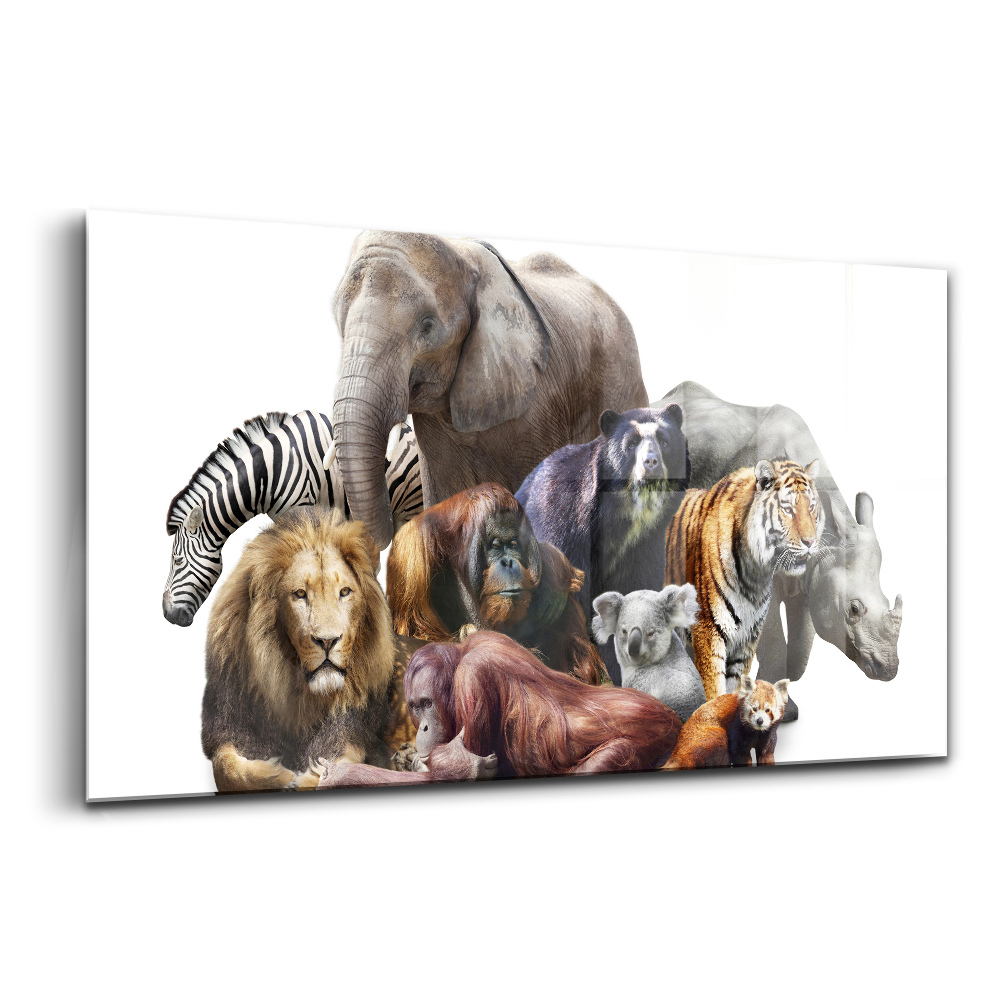 Luxusný sklenený obraz Divoké zvieratá