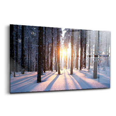 Sklenený obraz Západ slnka les zima