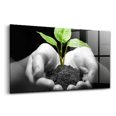 Sklenený obraz Rastlina v rukách