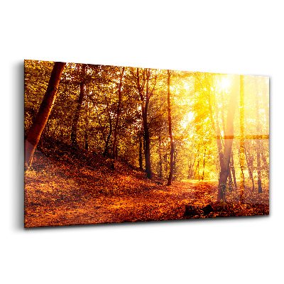 Luxusný sklenený obraz Krajina so západom slnka na jeseň