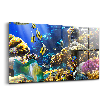 Luxusný sklenený obraz Obraz ryby na koralovom útese