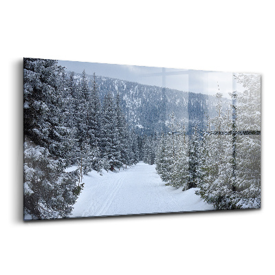 Sklenený obraz České Krkonoše v zime