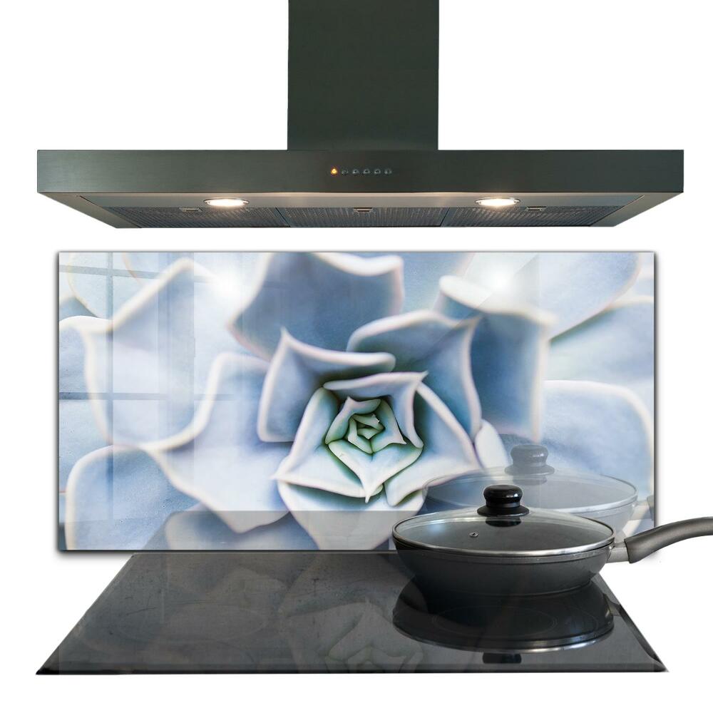 Zástena do kuchyne Sukulentný kaktus