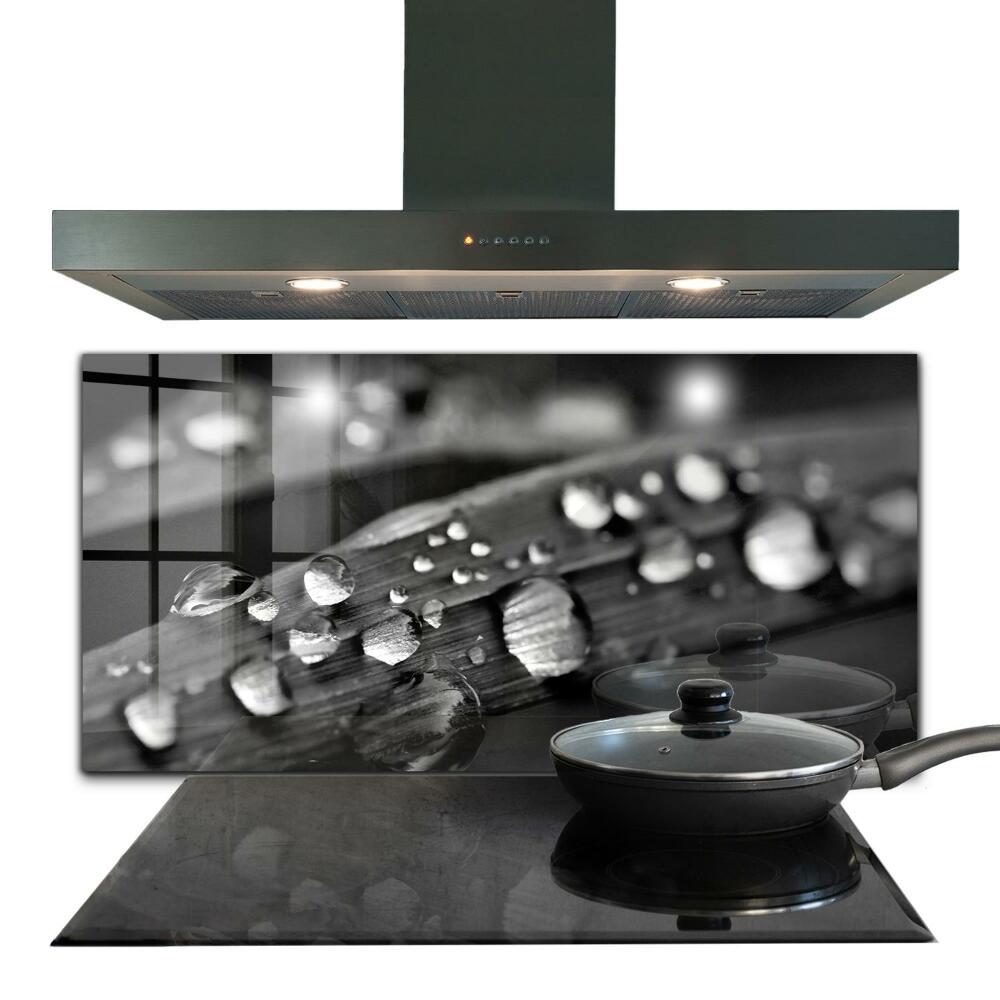 Moderny obklad do kuchyne List ruže Čierna a biela