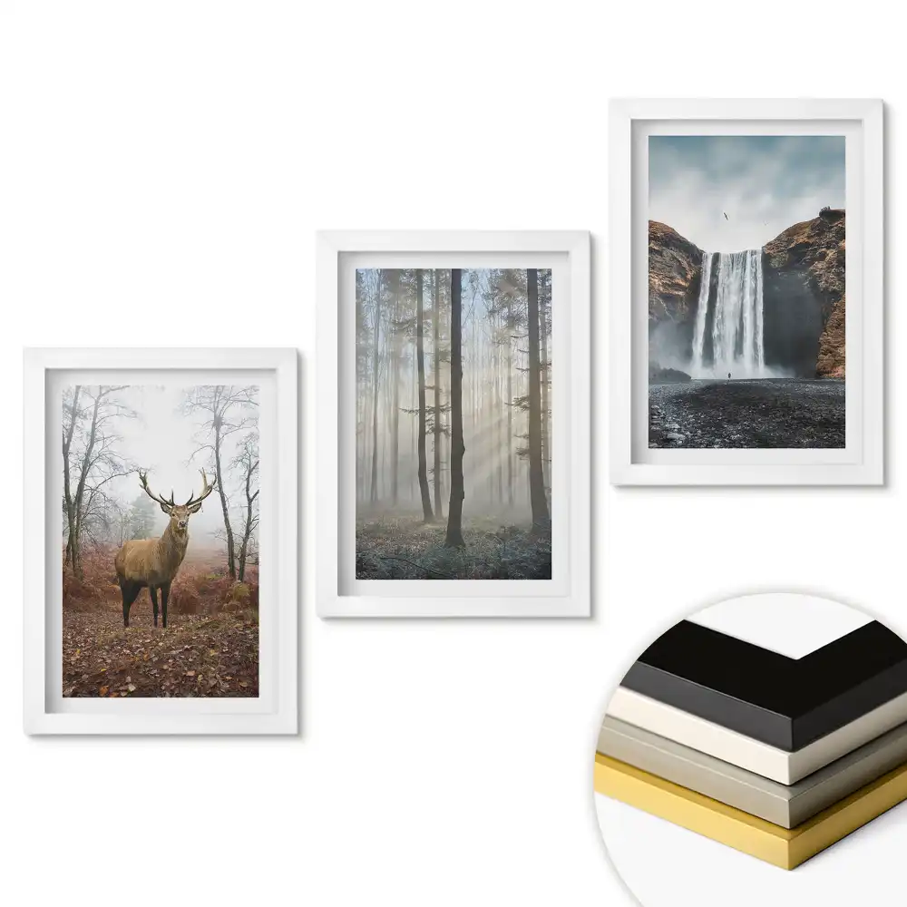 Set obrazov na stenu Príroda v troch verziách