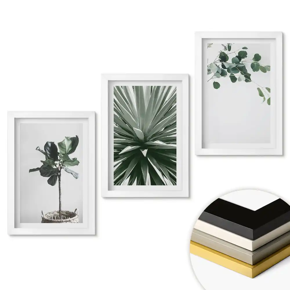 Set obrazov na stenu Inšpirácie rastlinami v minimalistickom štýle