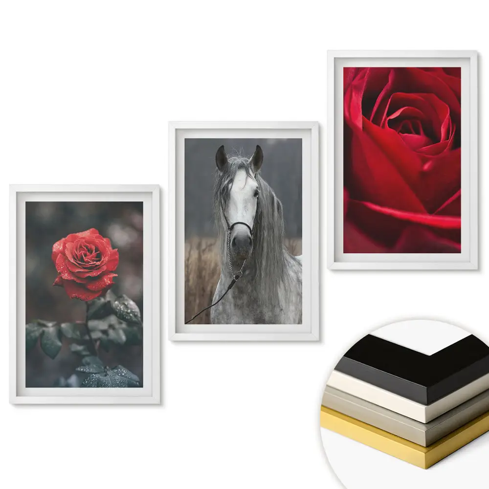 Triptych v ráme Kvety a kôň v harmonickej kombinácii