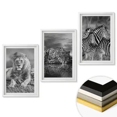 Triptych v ráme Divoká príroda v monochromatickom štýle