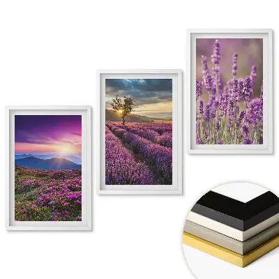Triptych v ráme Krajina levanduľových polí pri západe slnka