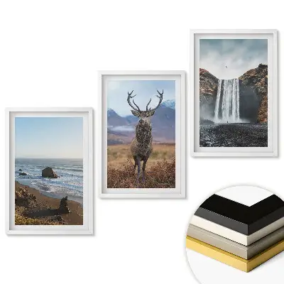 Triptych Príroda v troch verziách v ráme