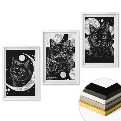 Triptych v ráme Mačky v kozmickej nočnej scéne