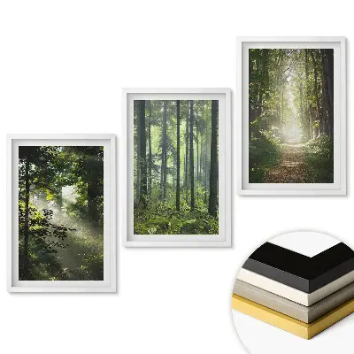 Triptych Zelené oázy pokoja v lese v ráme