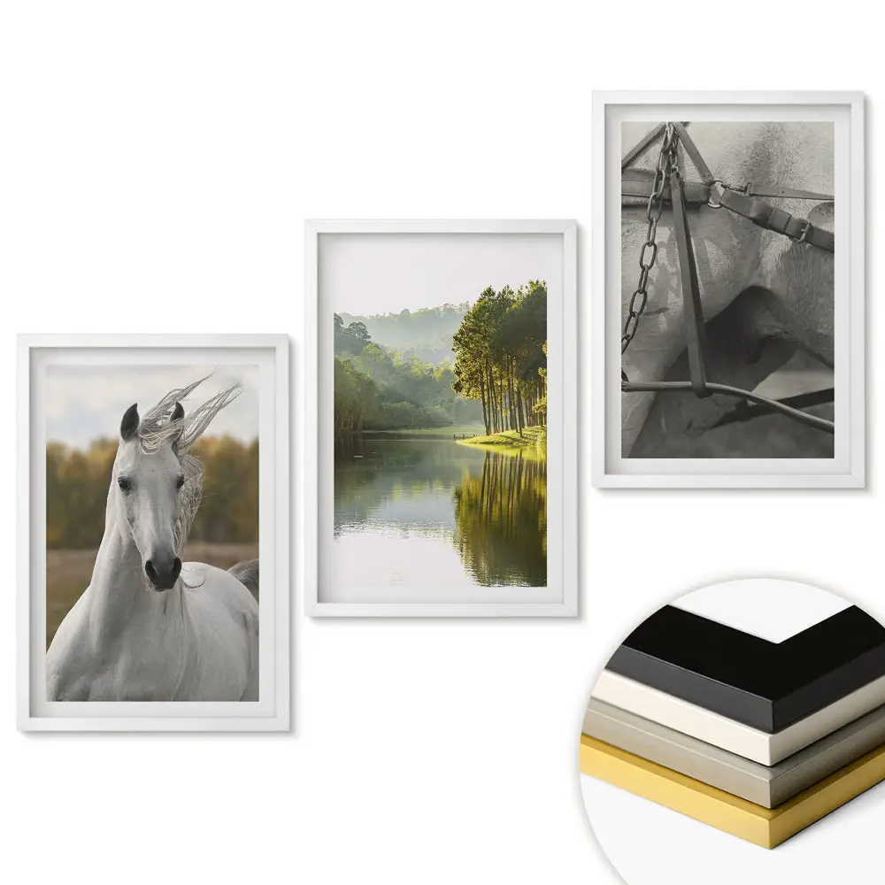 Triptych v ráme Kúzlo prírody a krása koní