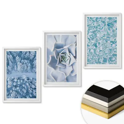 Triptych v ráme Zimné krajiny a jemné kvety