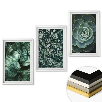 Triptych Zelená krása prírody v ráme