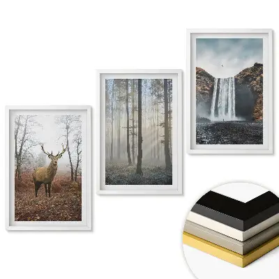 Triptych Príroda v ráme v troch rôznych verziách