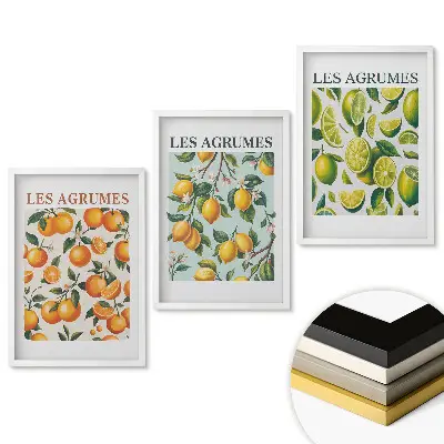 Triptych v ráme s farebnými ilustráciami citrusového ovocia