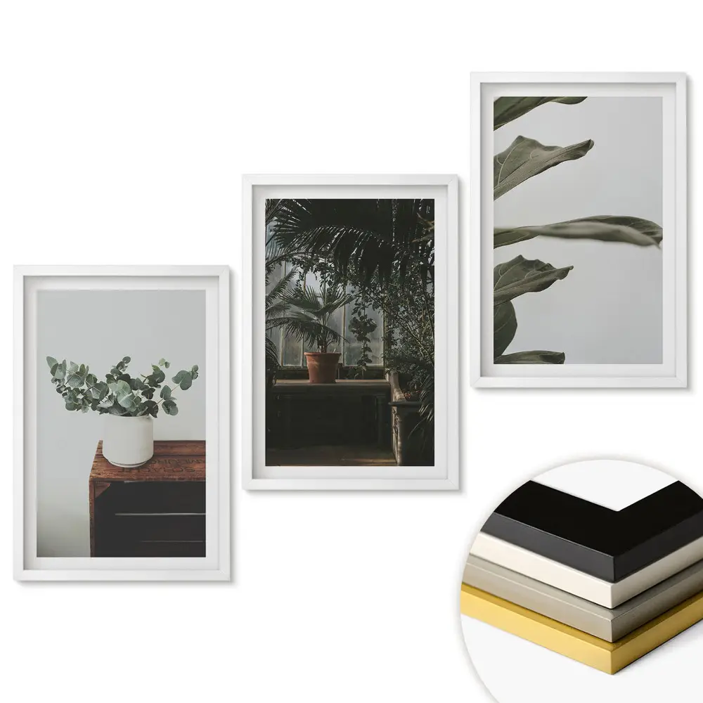Triptych v ráme Rastliny v modernom interiéri