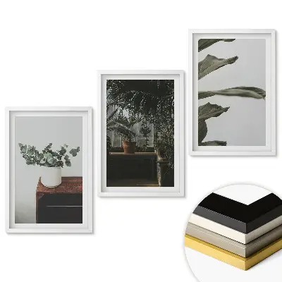 Triptych rastliny v modernom interiéri v ráme