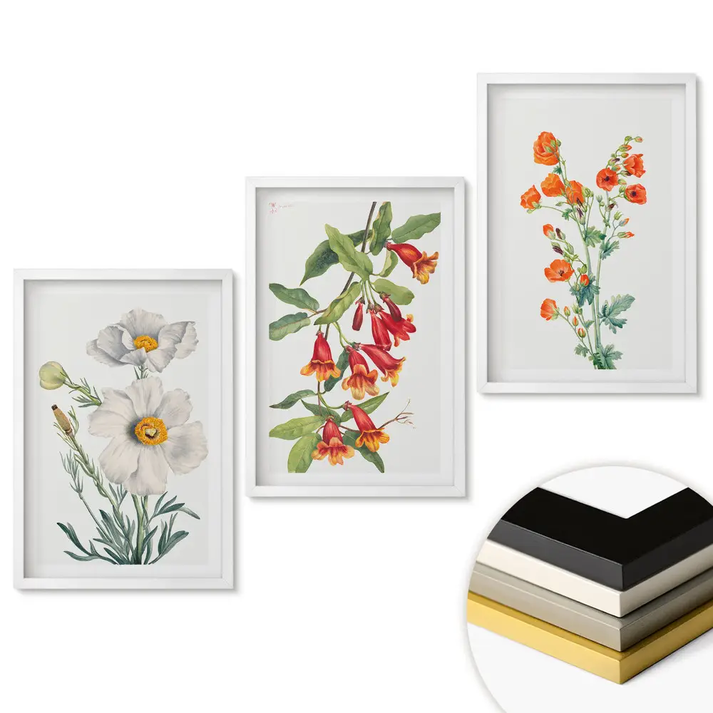 Triptych v ráme Kvetinové inšpirácie v jemných ilustráciách